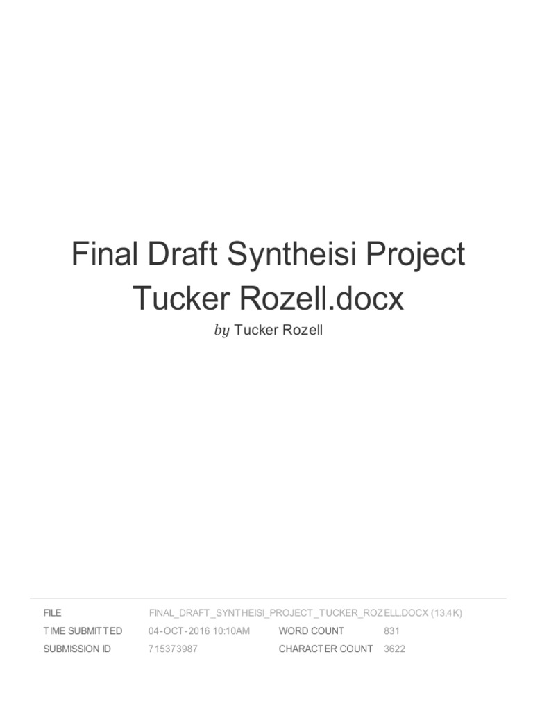 Final Draft of Syntheisi Project | PDF | Travel | Law