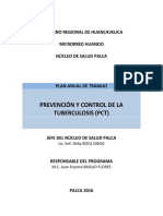 Plan Anual PCT - Núcleo 2016