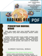 RADIKAL