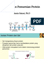 Isolasi Dan Pemurnian Protein