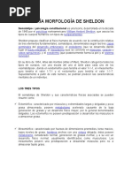 Tipos de Complexiones Corporales | PDF
