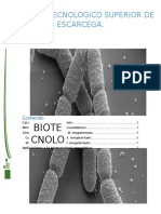 BACILLUS