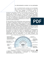 Determinantes Sociales