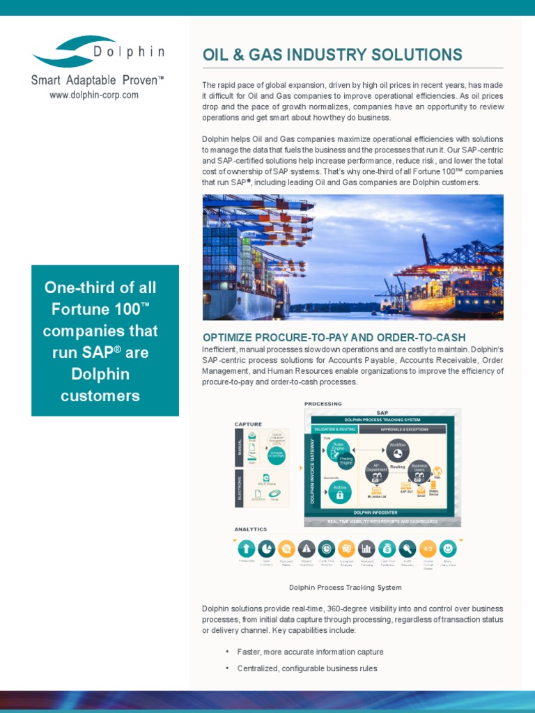 SAP OIL AND GAS MODULE PDF visual data 2