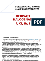 17814hlg-derivati.ppt