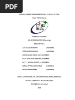 Download Laporan Praktikum Teknologi Sediaan Steril Obat Tetes Mata  by kartini SN334165262 doc pdf
