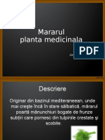 marar.ppt