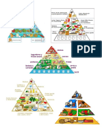 Piramides Alimenticias
