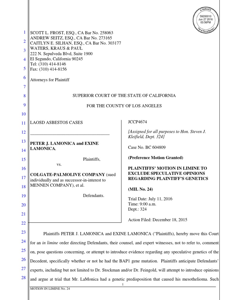 Motion in Limine Re LaMonica, Peter J. Plaintiffs MIL 24