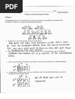 Pedigree and Punnett Square Practice Answer Key