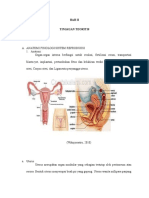 Anatomi Fisiologi KPD 3