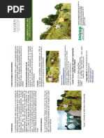 Recomednaciones_cultivar piña criolla_INIFAP.pdf