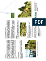 Recomednaciones_cultivar piña criolla_INIFAP.pdf
