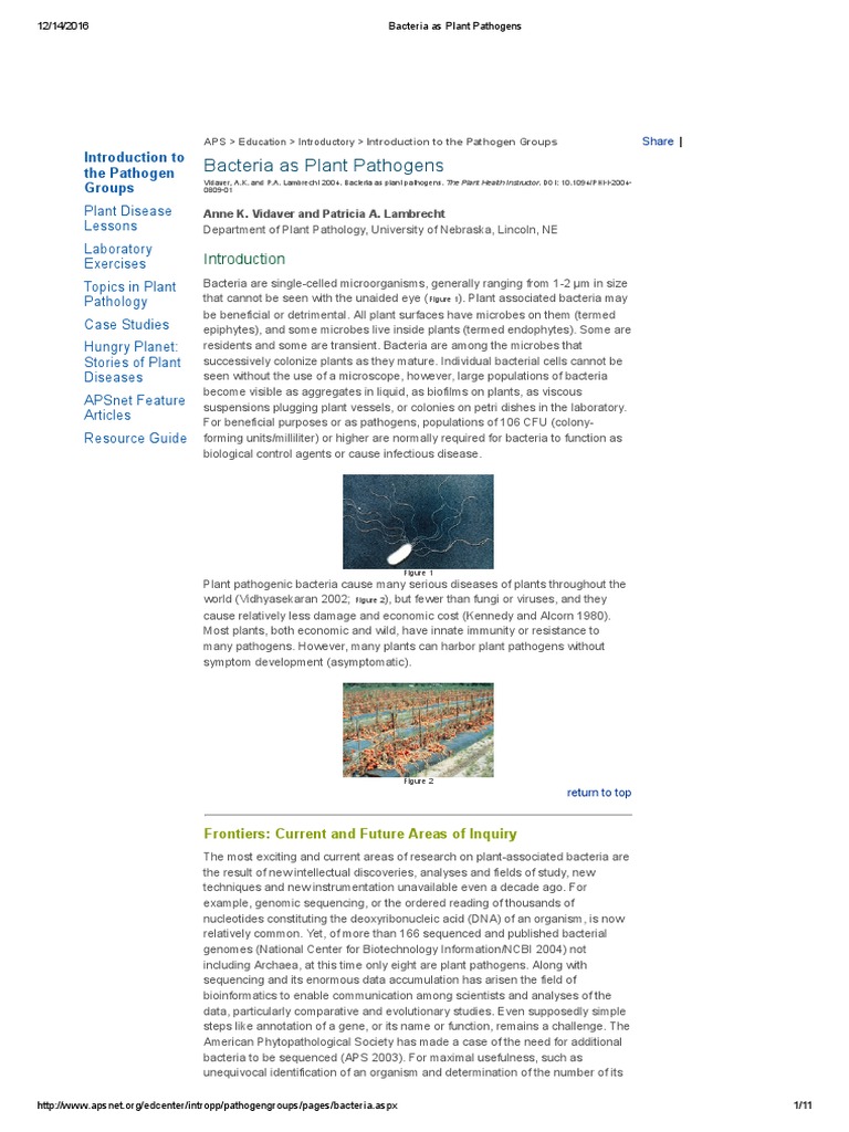 Bacteria As Plant Pathogens | PDF | Bacteria | Plant Pathology
