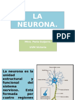 4 La neurona.pptx