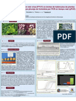 Detección Del Potato Yellow Vein Virus (PYVV) en Brotes de Tubérculos de Plantas de Solanum Tuberosum Grupo Phureja de Colombia Por PCR en Tiempo Real (QPCR)