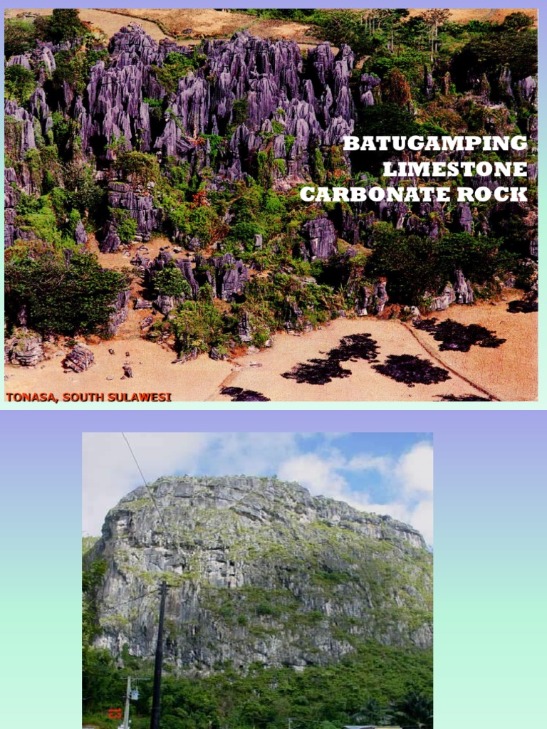 Carbonate Limestone 2013 | PDF | Calcite | Sedimentology