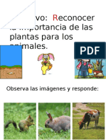 Importancia de Las Plantas para Los Animales