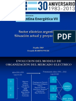 Argentina Energética Sector Eléctrico - Rabinovich