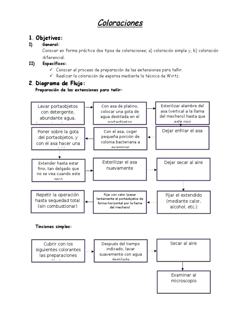 Técnicas de Coloración en Laboratorio | PDF | Tinción | Bacterias Gram ...