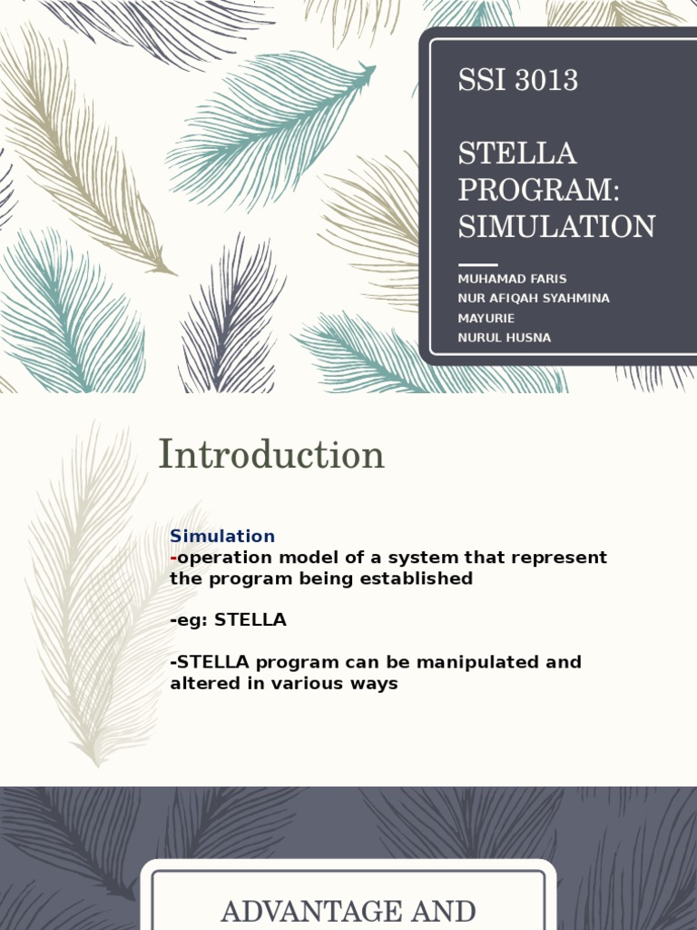 SSI 3013 Stella Program: Simulation: Muhamad Faris Nur Afiqah Syahmina ...