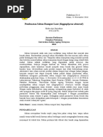 Download Praktikum Diversifikasi Sabun Rumput Laut by Riska Ayu Nuryahya SN334250103 doc pdf