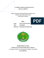 Download Makalah Tapis Lampung by AgusRachman SN334253268 doc pdf