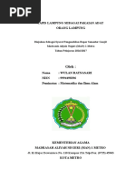 Download Makalah Tapis Lampung by AgusRachman SN334253268 doc pdf