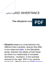 Dihybrid Inheritance