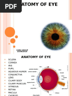 Anatomy - EYE2
