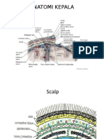 ANATOMI KEPALA