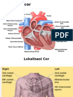 Anatomi Cor