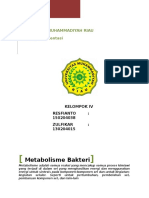 Metabolisme Bakteri