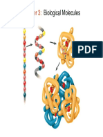 102chapter 03 - Biological Molecules