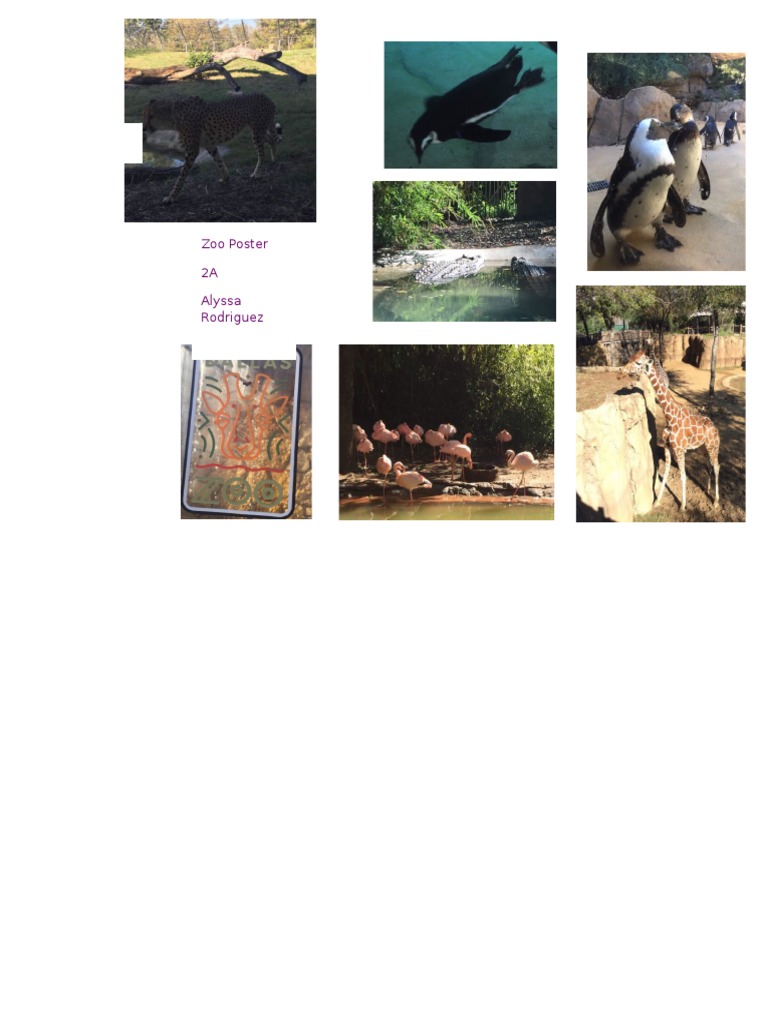 Zoo Poster | PDF
