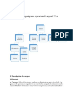 Organigrama Operacional Lanyon LTDA