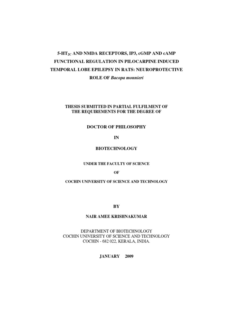 Epilepsy thesis pdf picture