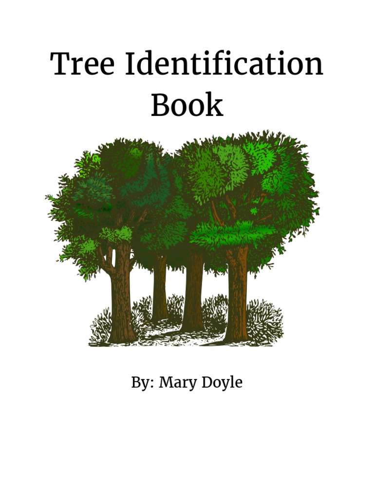 Tree Identification Guide | PDF