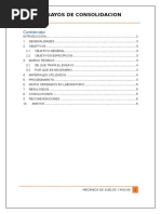 Emsayo de Consolidacion