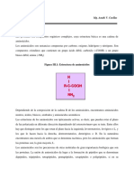 260336137-Metabolismo-de-Proteinas.pdf