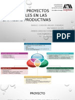 Diseño de Proyectos Sostenibles en Las Empresas Productivas