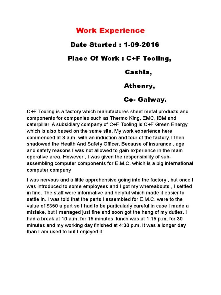 Student's Factory Work Experience | PDF | Career & Growth