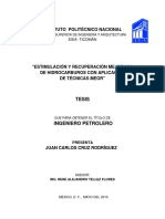Estimulación y recuperación mejorada de hidrocarburos con aplicación de técnicas meor.pdf