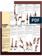 Total Body - PDF - Brazos (1)