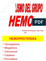 Metabolismo Del Grupo Hemo-2008