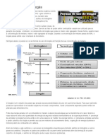 Formas de Uso Do Biogás - Portal Do Biogás PDF