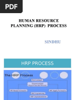 (HRP) Process