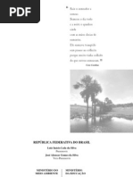 Educação Ambiental - PRONEA