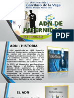 Adn de Paternidad