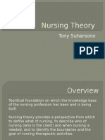 Nursing Theory